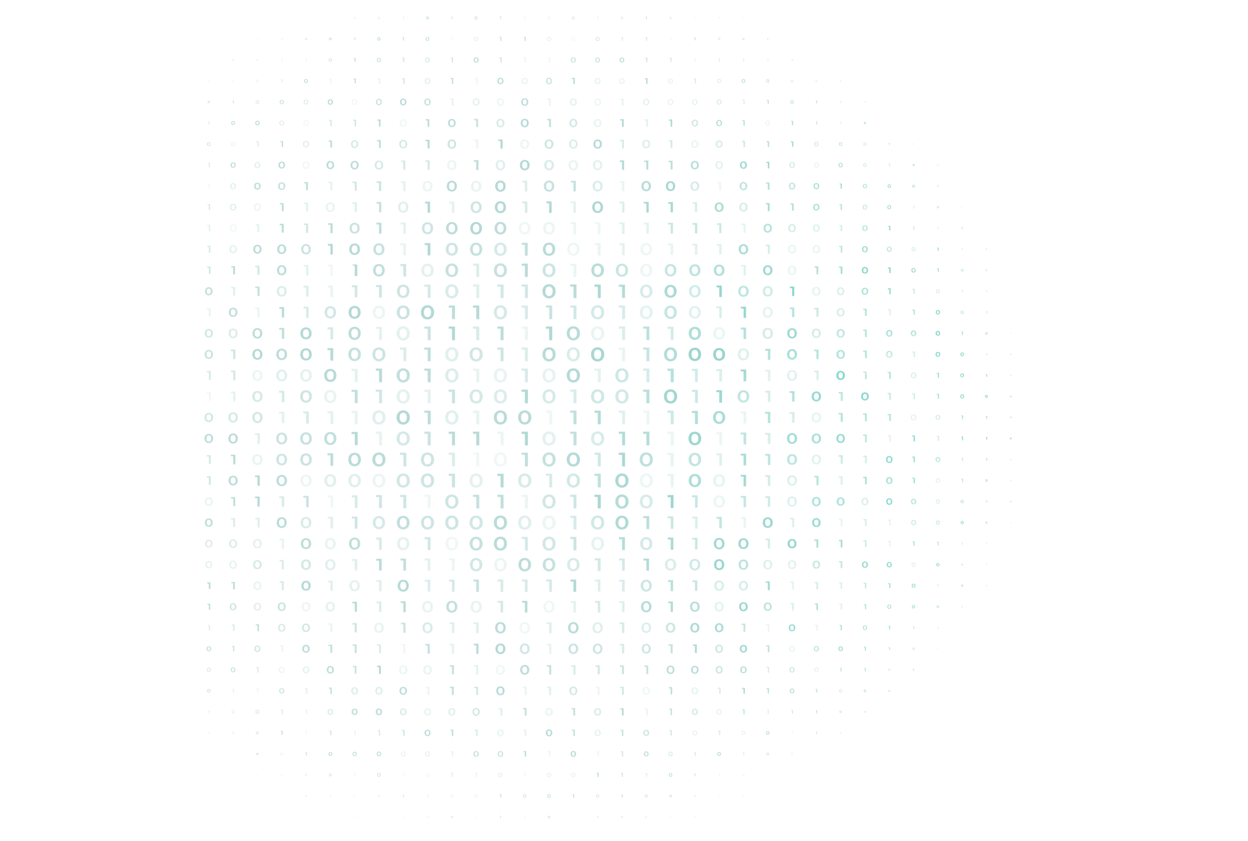 02200_Afbeeldingen Netboss_LOS_Slide 2 kopie 10